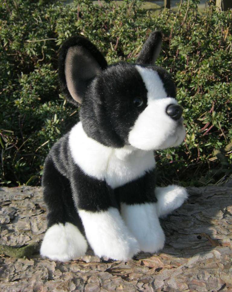 Anima - Peluche chien bulldog français 22 cm Anima - Peluche chien bulldog français 22 cm