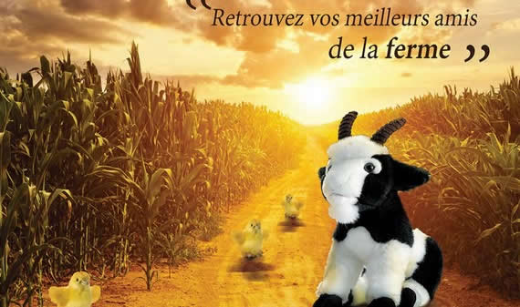 image de la Collection 