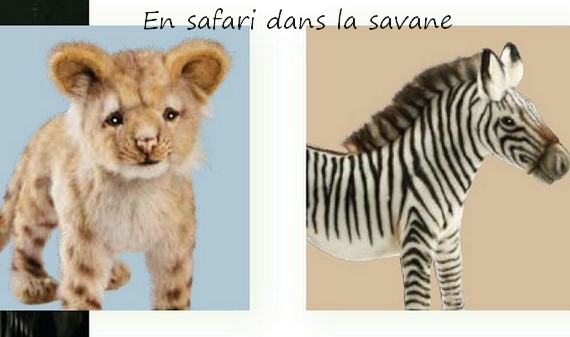 image de la Collection 