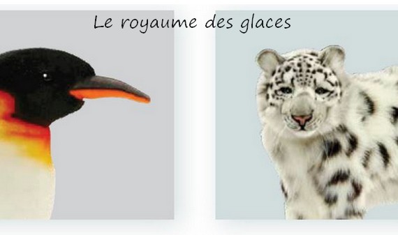 image de la Collection 