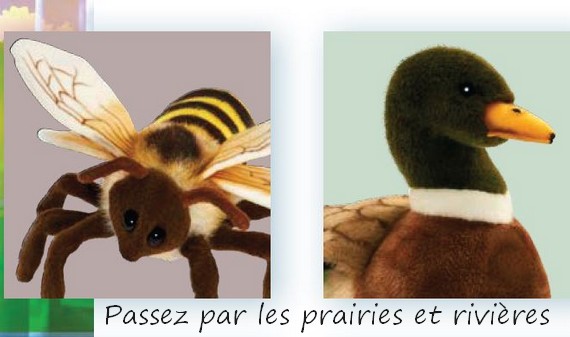 image de la Collection 