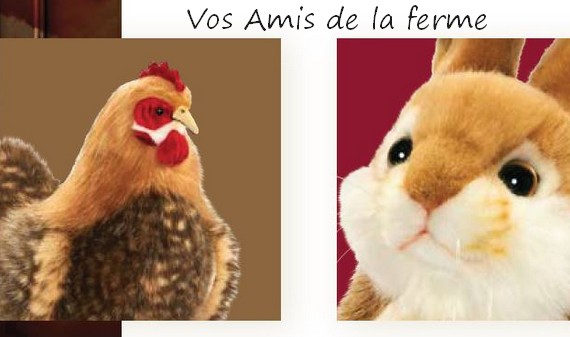 image de la Collection 