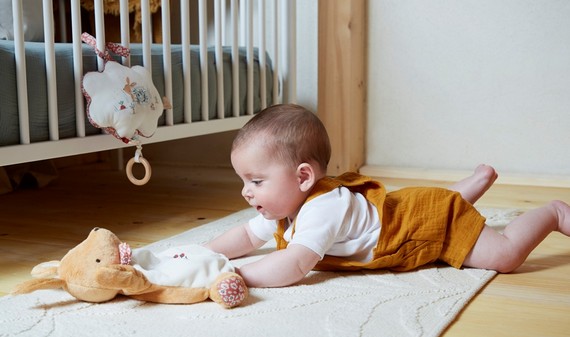 image de la Collection 