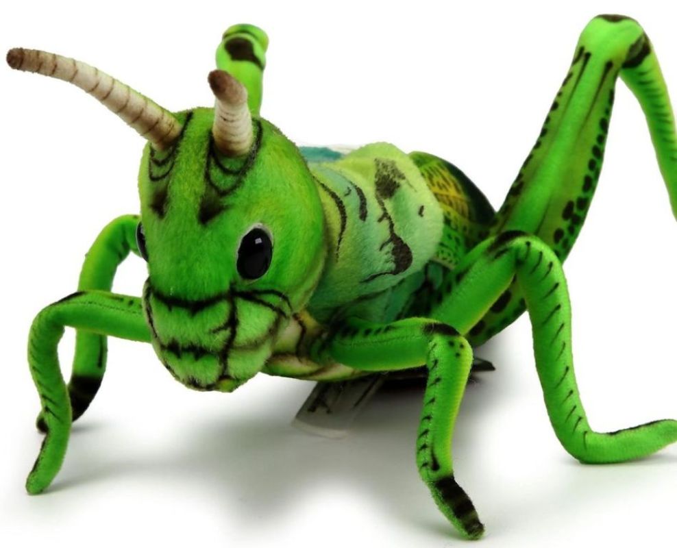 Hansa Peluche sauterelle Doudouplanet, Livraison Gratuite 24/48h