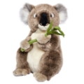 Anima Peluche Koala