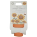 Kit de Plantation Tournesol Garden Little Dutch