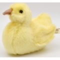 Peluche Caneton Hansa