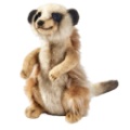 Peluche Suricate Hansa