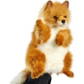 Peluche Marionnette Renard Hansa