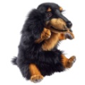 Peluche Marionnette Teckel Hansa