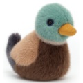 Jellycat Peluche Oiseau Canard Colvert Birdling