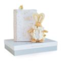 Doudou et Compagnie Coffret Protège carnet de santé et doudou blanc