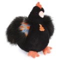 Histoire d Ours Peluche Poule Noire Les Poulettes