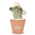 Peluche Cactus Botanique Doudou et Compagnie
