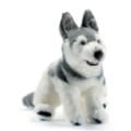 Peluche Chien Husky - 42 cm Anima