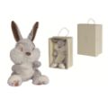 Disney Peluche Panpan - 25 cm