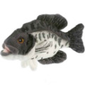 Anima Peluche Poisson Carpe - 20 cm