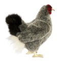 Hansa Peluche Poule Grise - 31 cm