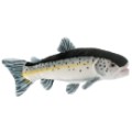 Anima Peluche Poisson Truite - 20 cm