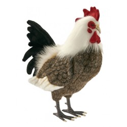 Doudou Peluche Bukowski, Poule/oiseau/coq, Très Bon état