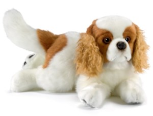 Peluche Chien Cavalier King Charles - 27 cm