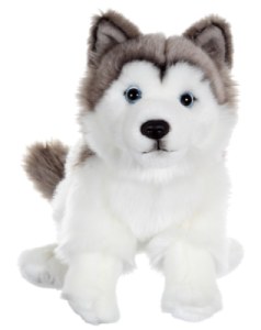 Peluche Chien Husky Chiens Réalistes - 25 cm