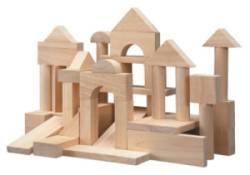 50 Blocs de Constructions en Bois