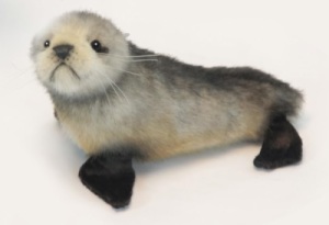 Peluche Bébé Otarie