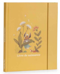 Livre Naissance Trois Petits Lapins