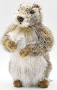 Peluche Marmotte - 25 cm