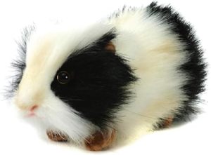 Peluche Cochon d Inde Noir Et Blanc