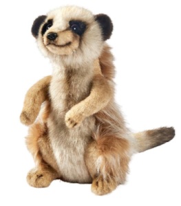 Peluche Suricate