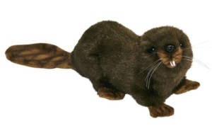 Peluche Castor Couché - 22 cm