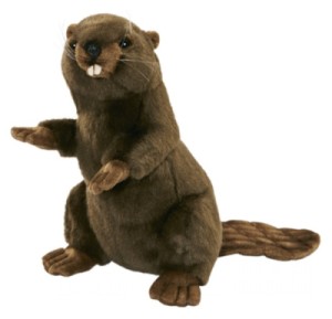 Peluche Castor Dressé