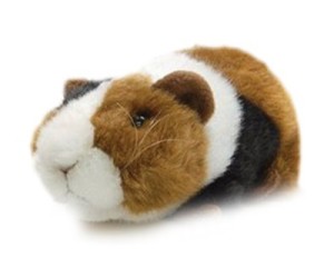 Peluchette Cochon Inde - 17 cm