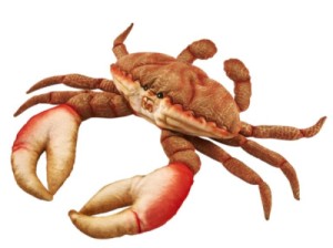 Peluche Crabe