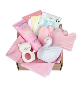 Box Bébé Bienvenue Petite Fille Rose XL