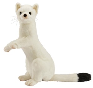 Peluche Hermine Blanche