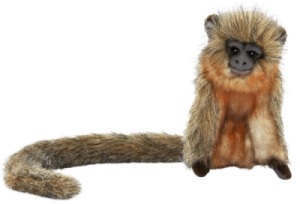 Peluchette Singe Titi