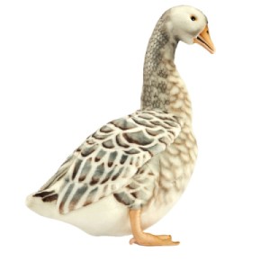 Peluche Oie Cendrée