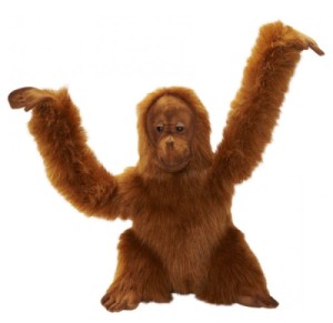 Peluche Orang Outan - 42 cm