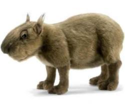 Peluche Capybara