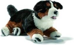 Peluche Chien Bouvier Bernois - 60 cm