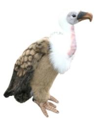Peluche Vautour