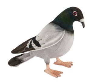 Peluche Pigeon Voyageur - 20 cm