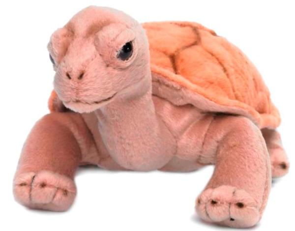 WWF Peluche Tortue Terrestre 20 cm