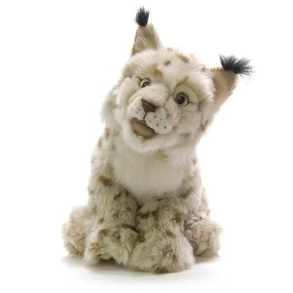 Anima Peluche Lynx Ushuaïa - 27 cm