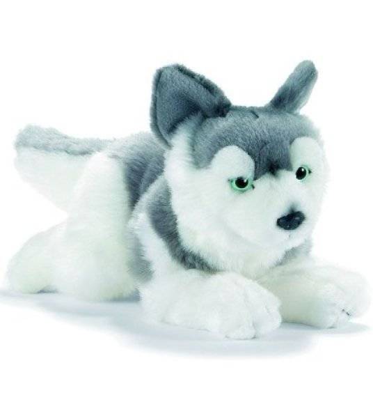 Anima Peluche Chien Husky 27 cm Anima Peluche Chien Husky 27 cm