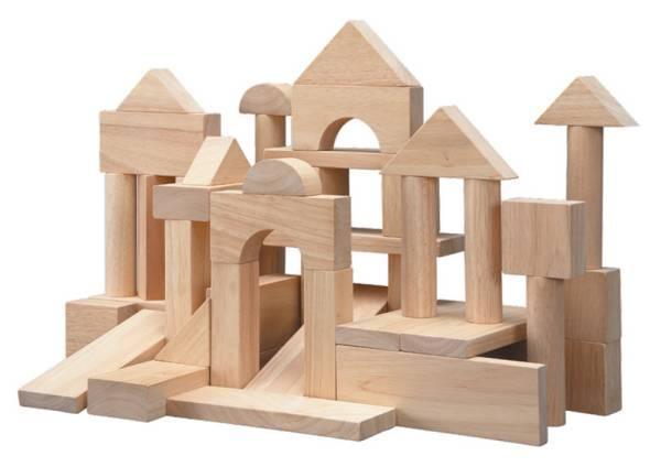 Plantoys 50 Blocs de Constructions en Bois