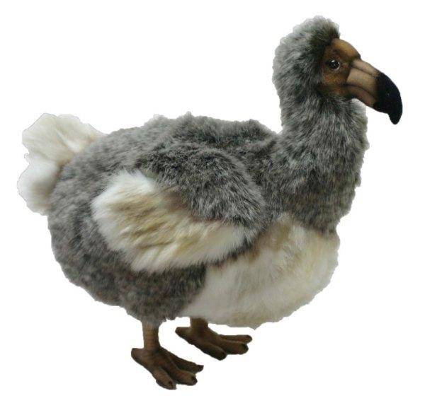 Anima Peluche Oiseau Dodo - 35 cm